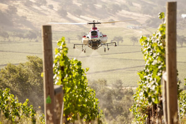 DE 19 | Los Angeles Travel Guide