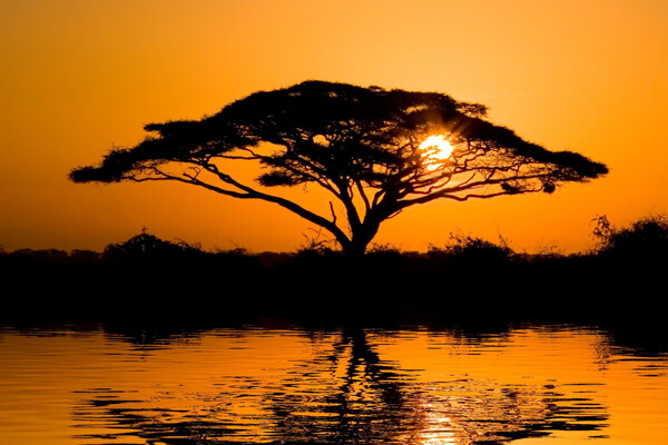 DE 8 | Kenya And East Africa