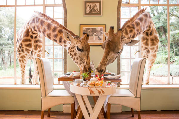 DE 8 | Kenya And East Africa